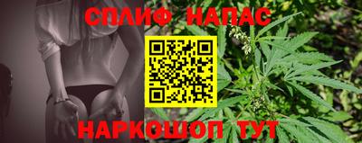 сатива Беслан