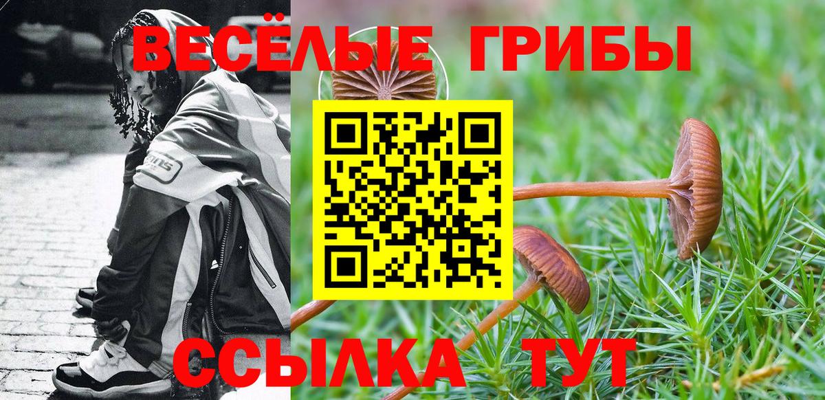 Галлюциногенные грибы Cubensis Ипатово