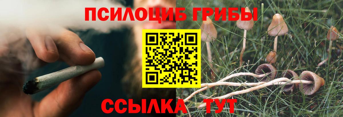 Галлюциногенные грибы GOLDEN TEACHER  Псилоцибиновые грибы Cubensis  Ипатово  Вход с VPN 